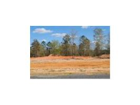 LOT 12 COUNTY ROAD 539, Enterprise, AL 36330 