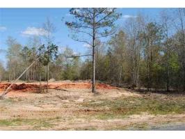 LOT 1 COUNTY ROAD 539, Enterprise, AL 36330 