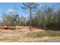 LOT 1 COUNTY ROAD 539, Enterprise, AL 36330 