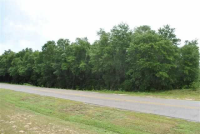 TBD Dale County 1/Rice Circle, Enterprise, AL 36330 