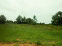 0 David Road &amp; Luther Lane, Enterprise, AL 36330 