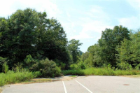 9.215 Acres County Road 704, Enterprise, AL 36330 