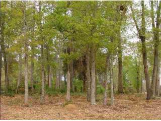 131 Rosemount Court, Enterprise, AL 36330 