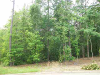 Lot 7 Blk B Plantation Place Honeysuckle Hills Pha, Enterprise, AL 36330 