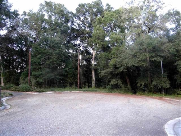 LOT 18 &amp; 19 HIGH BLUFF, Enterprise, AL 36330 