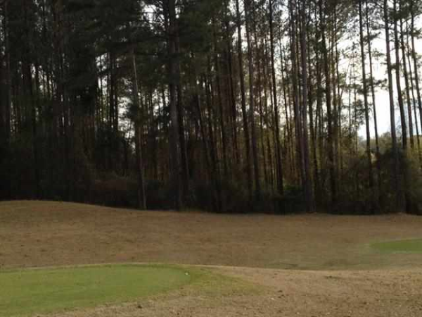 102 Murfield Court, Enterprise, AL 36330 