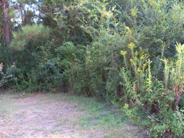 9 acre parcel on Wildwood, Enterprise, AL 36330 