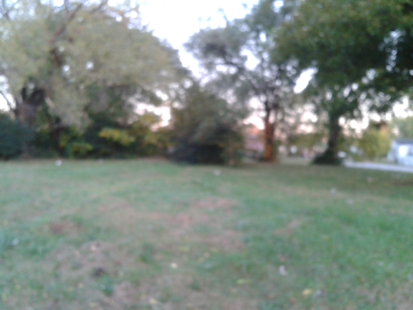 1011 Nashville Ave, Sheffiled, AL 35660 