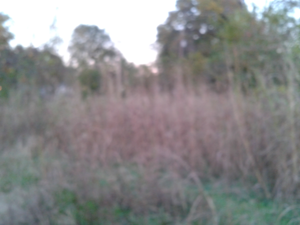 0 South Nashville Ave, Sheffield, AL 35660 