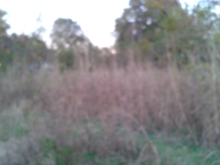 0 South Nashville Ave, Sheffield, AL 35660 