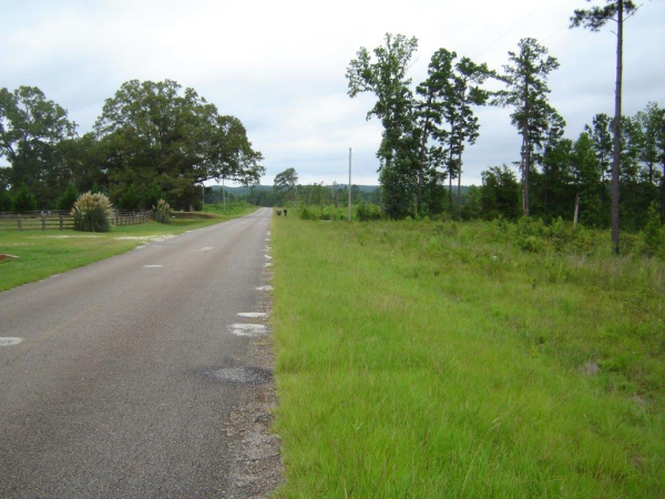 0 County Road 263, Five Points, AL 36855 