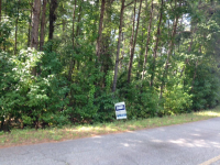0 Lee Rd 965 Lot 32 Forest Lake SD, Opelika, AL 36854 