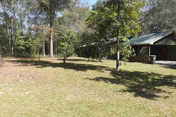 County Road 235, Elba, AL 36323 