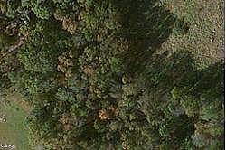 5Th St Nw, Sylvania, AL 35988 