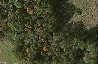 5Th St Nw, Sylvania, AL 35988 