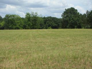 0 Douglas RoadHwy 15, Headland, AL 36345 