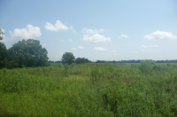 Highway 134 East, Headland, AL 36345 