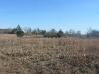 10506 S Hwy 431, Headland, AL 36345 