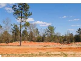 LOT 11 COUNTY ROAD 539, Enterprise, AL 36330 