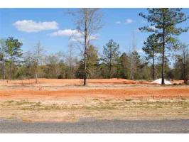 Lot 10 County Road 539, Enterprise, AL 36330 
