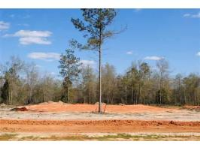 Lot 7 County Road 539, Enterprise, AL 36330 