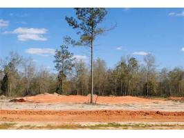 LOT 6 COUNTY ROAD 539, Enterprise, AL 36330 