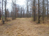 12 Heron Point, Lowndesboro, AL 36752 