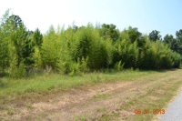 ParcelA2 Sanders Rd, Phenix City, AL 36869 