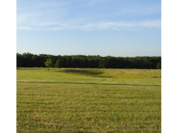 0 Spencer Lakes, Meridianville, AL 35749 