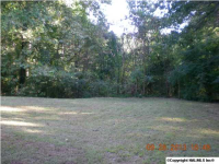 134 MAPLES ROAD, Lacey's Spring, AL 35754 