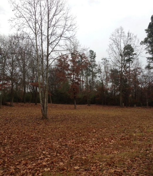 121 ROBERT DAVIS RD, Langston, AL 35755 