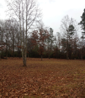 121 ROBERT DAVIS RD, Langston, AL 35755 