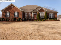 227 Steel Horse Drive, Madison, AL 35757 