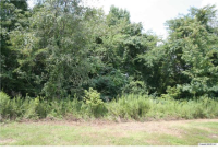 Lot 2 Bradford Farms Drive, Madison, AL 35758 
