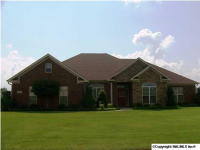 100 Alex Trace Drive, Meridianville, AL 35759 