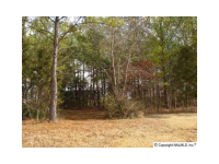 0 OLD FENCE ROW, Meridianville, AL 35759 