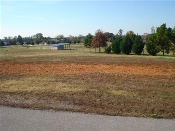 110 Grace Brook Circle, Meridianville, AL 35759 