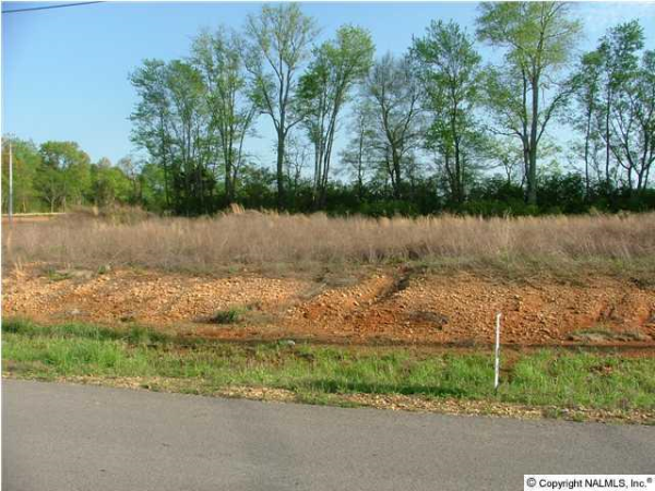 102 EAGLE VIEW DRIVE, New Market, AL 35761 