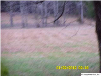 0 Oakley Chapel Road, New Market, AL 35761 