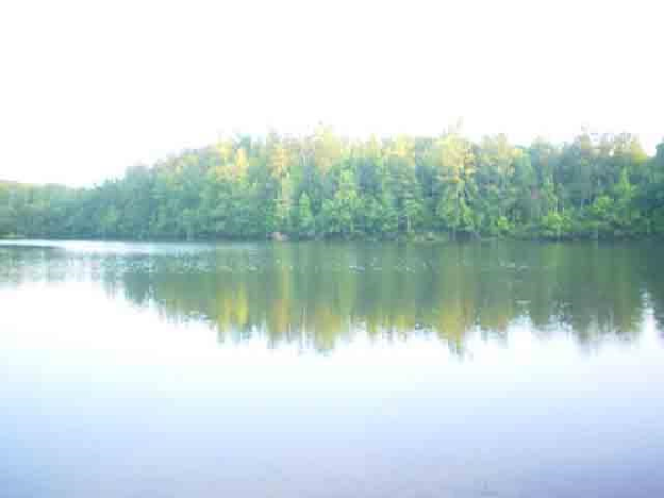 0 Marsh Mountain Road, Pinson, AL 35126 