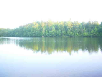 0 Marsh Mountain Road, Pinson, AL 35126 