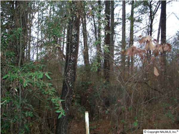 1904 Park Avenue, Oneonta, AL 35121 