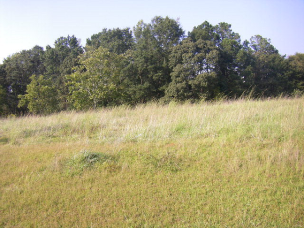 4451 Anderson Rd, Opelika, AL 36801 