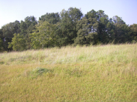 4451 Anderson Rd, Opelika, AL 36801 