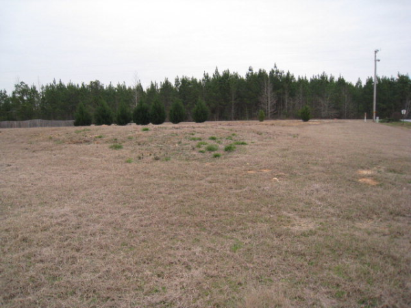 0 LEE ROAD 2119, Omaha, AL 36804 