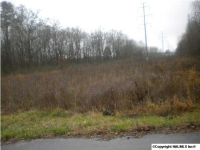 Lot 14 Woodview Street, Hartselle, AL 35640 