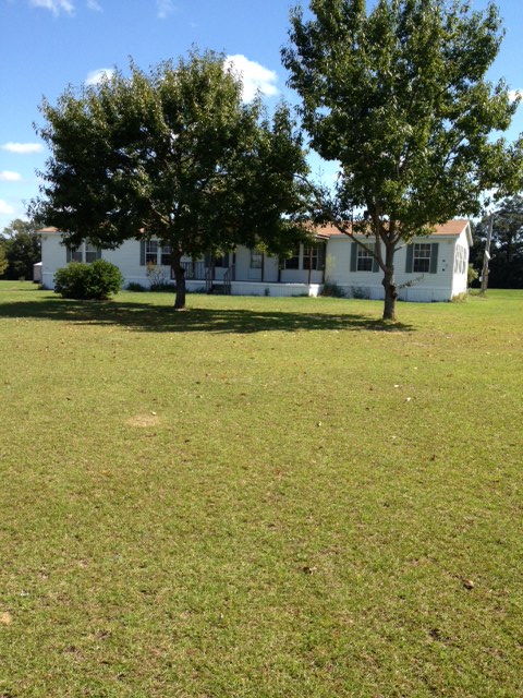 252 Knowles Dr, Webb, AL 36376 