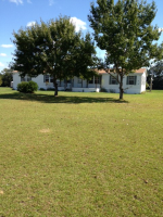 252 Knowles Dr, Webb, AL 36376 