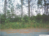 103 GENE AUTRY DRIVE, Albertville, AL 35951 