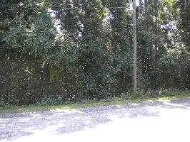 107 Greenwood Dr Lot#113, Daphne, AL 36526 
